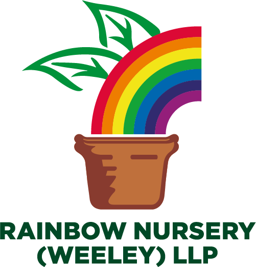 rainbow-nursery-website-logo